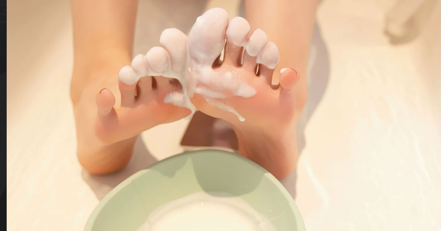 Enjoy a dinner with escort